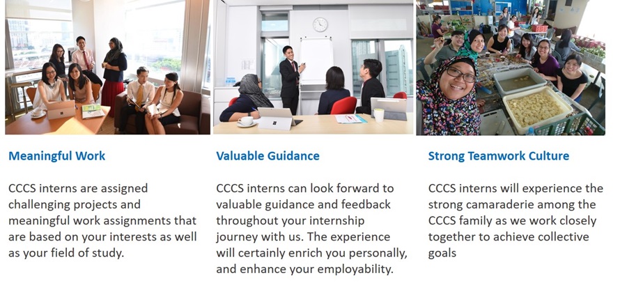 internship landing